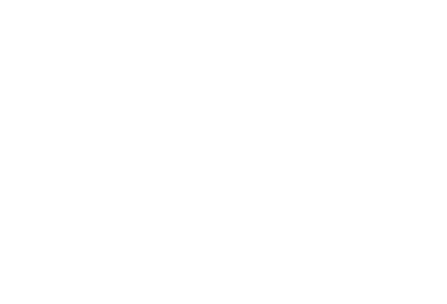 Plan Estándar